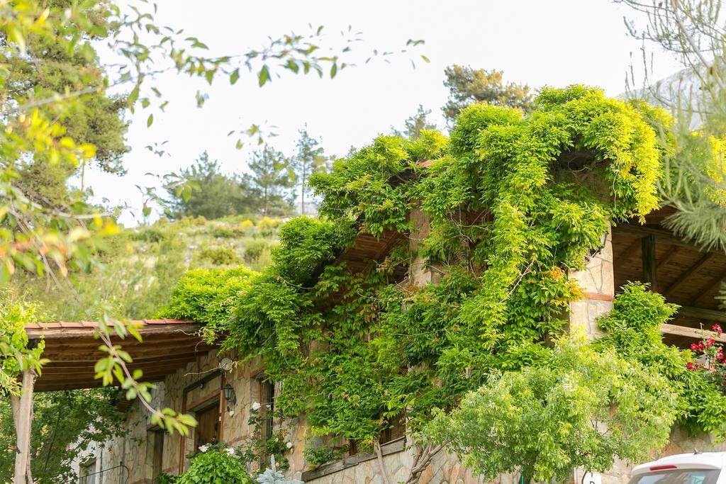 Olympos Mountain Lodge Beycik Exterior photo