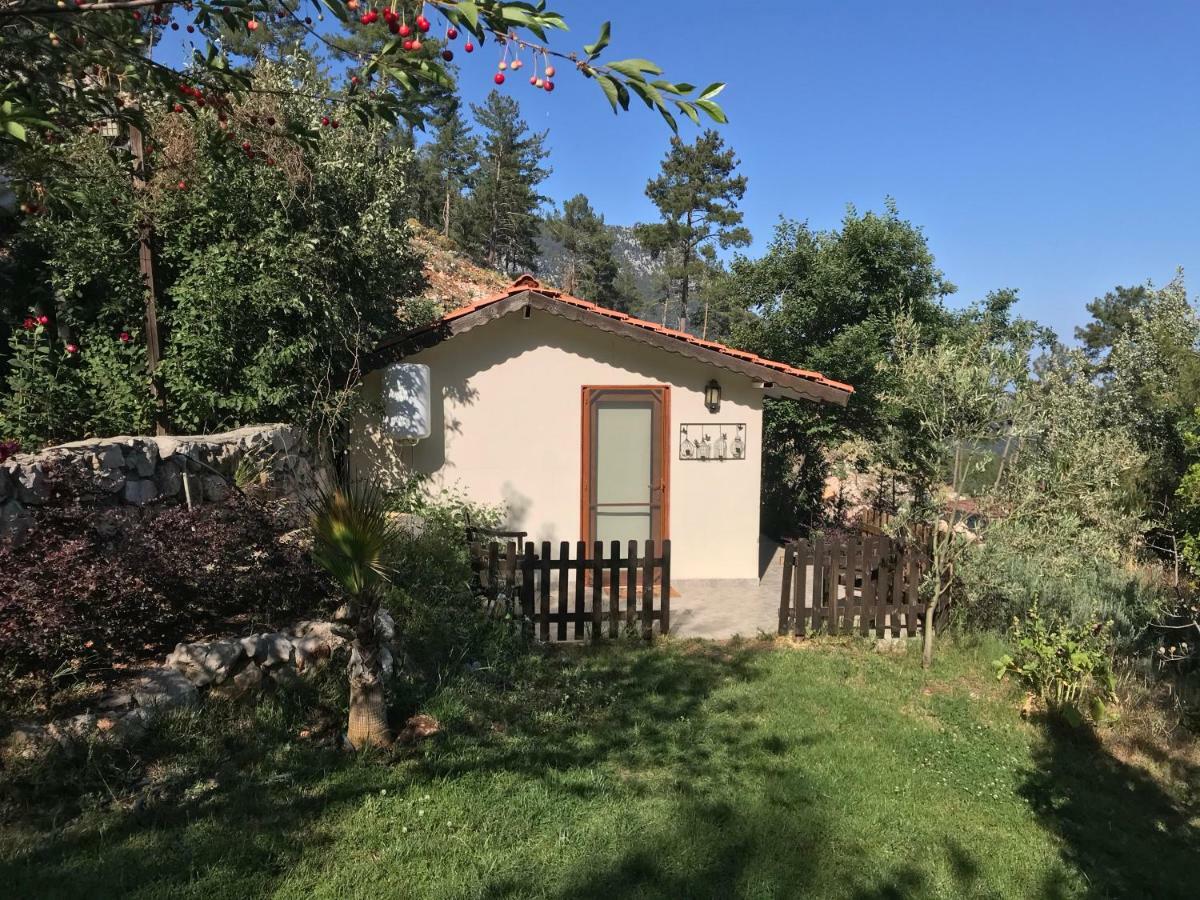 Olympos Mountain Lodge Beycik Exterior photo
